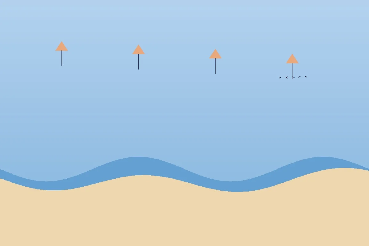 Kites flying over Virginia Beach